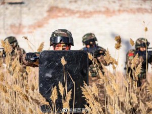 新疆：直击武警特战队员实战化训练
